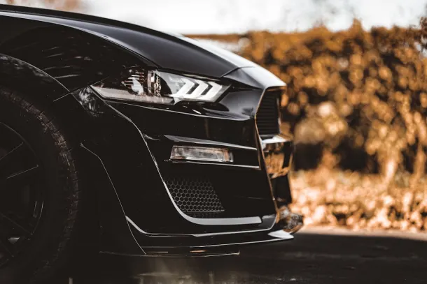 سفين بلاي كازينو تطبيق أندرويد/آي أو إس